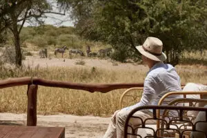 Watch as animals pass by the lodge.