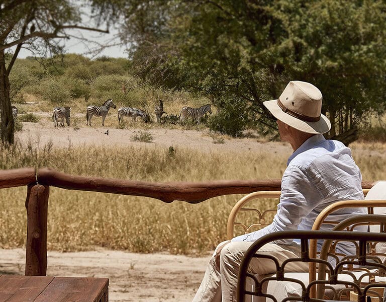 Observe a los animales pasar junto al albergue.
