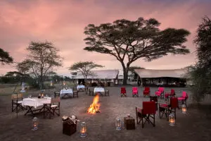 Alrededor del fuego y más allá del serengeti bajo el lienzo