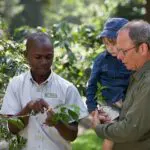 Arusha Coffee Lodge es la mayor plantación de café de Tanzania.
