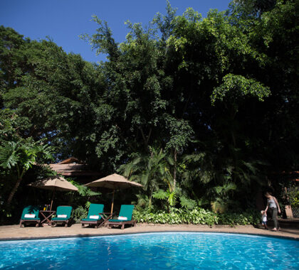 Unwind next to the lodge's swimming pool.
