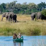 As well as game drives, many Wilderness camps offer water-based safaris too.