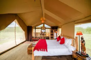 Room interior at Asanja Moru Bush Camp.
