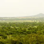 Situated in the savannah of the Serengeti National Park.