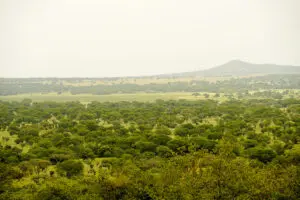 Situated in the savannah of the Serengeti National Park.