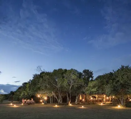 Encounter Mara es un campamento de tiendas situado en la reserva de Mara Naboisho.