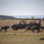 Recorridos por la reserva.
