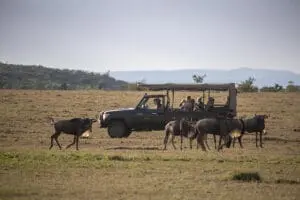 Recorridos por la reserva.