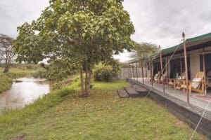 Campamento de Ol Pejeta Bush. 