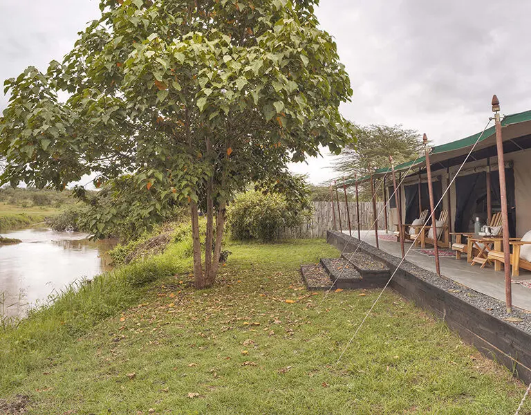 Ol Pejeta Bush Camp. 