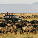 Asilia's Rekero Camp offers front-row seats to the wildebeest migration between June & March.