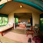 Asilia's safari camps all feature walk-in tented suites complete with bathroom & shaded outdoor areas.