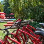 Avondrood lies within strolling distance of Franschhoek's rewarding spread of cafes & restaurants. Bicycles are available for exploring the town. 