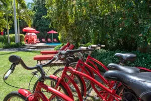 Avondrood lies within strolling distance of Franschhoek's rewarding spread of cafes & restaurants. Bicycles are available for exploring the town. 
