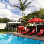 Relax at the swimming pool on a summer day. 
