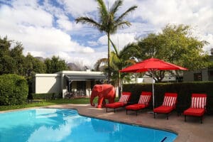 Relax at the swimming pool on a summer day. 