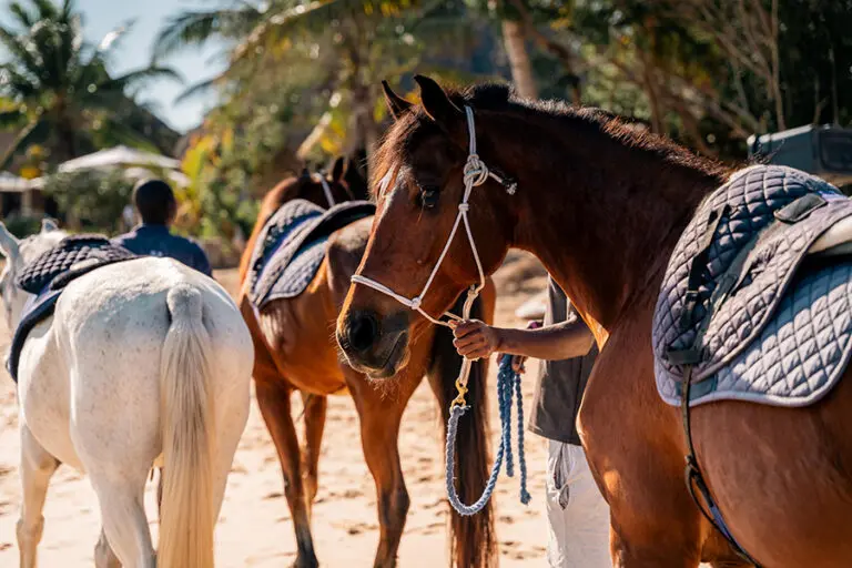azura_benguerra_-_horse_riding-2