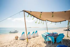 Disfrute de picnics en la playa. 
