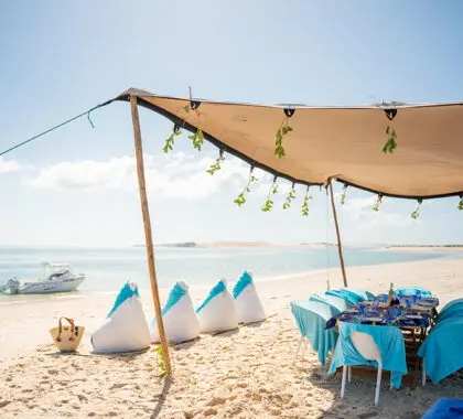 Disfrute de picnics en la playa. 