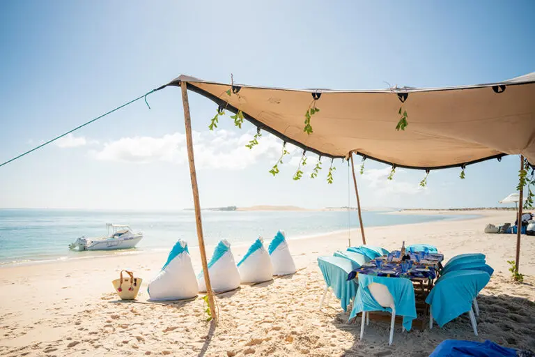 Enjoy beach picnics. 