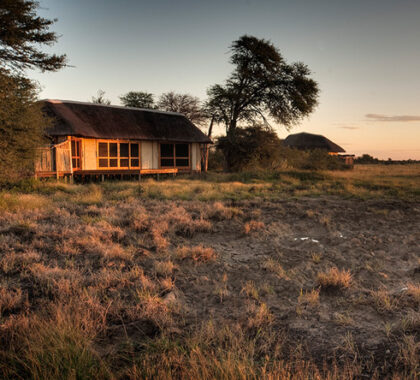 Nxai Pan is an intimate thatched safari lodge situated on the very edge of virtually unvisited Nxai Pan.