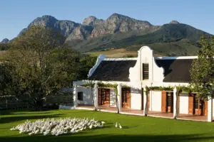 Enjoy refreshments in the garden.