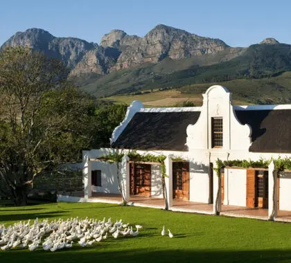 Babylonstoren-Exterior-Afternoon