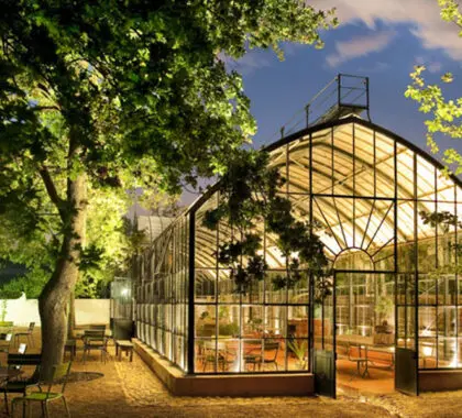 See the succulent collection of Babylonstoren's herbs.