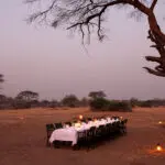 Cena de Bush por la noche.