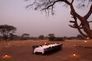 Cena de Bush por la noche.
