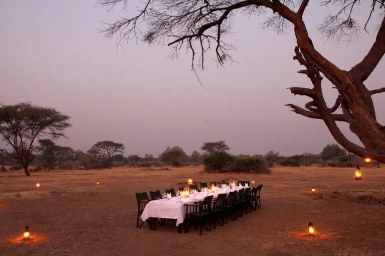 Bush dining during the evening.