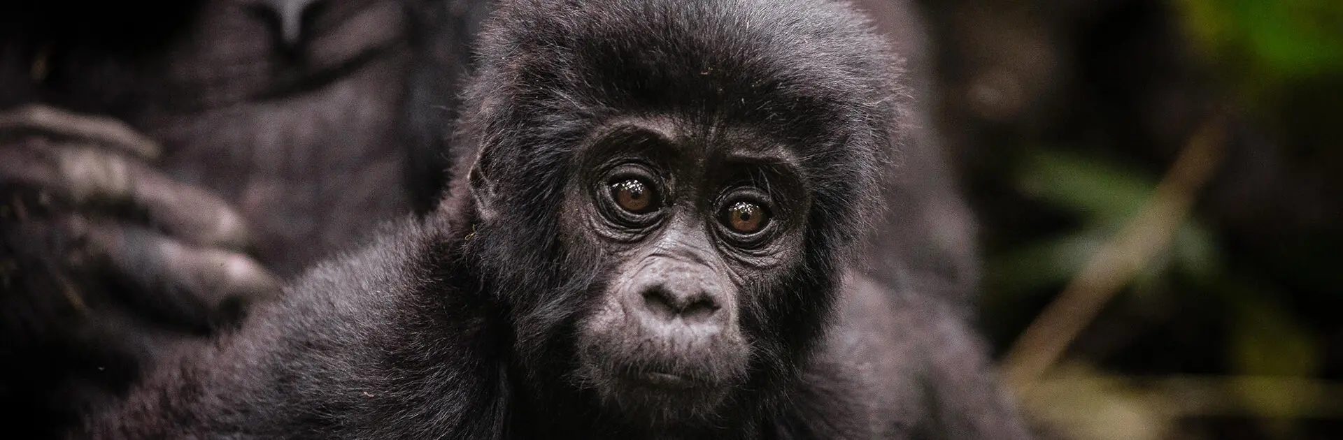 Banner-Aventura-Uganda