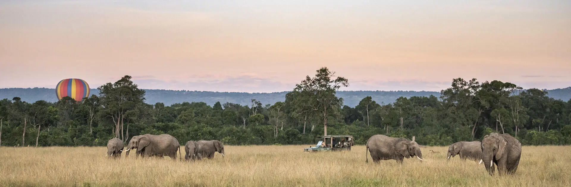 Banner-Governors-Camp---hot-air-balloon-and-elephants