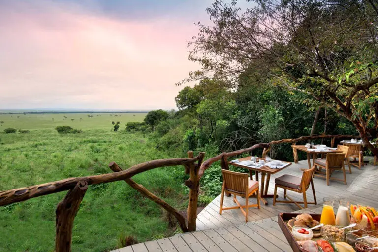 Viewing deck over the reserve.