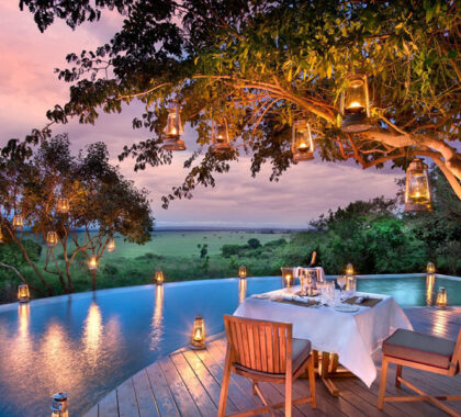 Romantic dining by the pool at Bateleur Camp