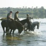 Soothing horse back rides along the river.