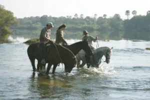 Soothing horse back rides along the river.