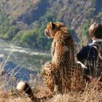 Get up close and personal with the wildlife.