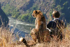 Get up close and personal with the wildlife.