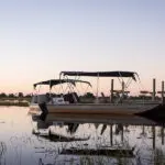 Boat-based safaris to explore the channels