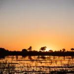 Sunsets in the Delta.
