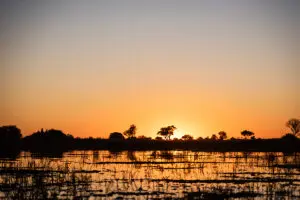 Sunsets in the Delta.