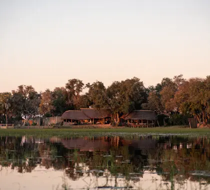Belmond Eagle Island Lodge, an exclusive water-based camp situated on the island of Xaxaba.
