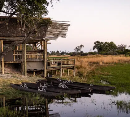 Viewing decks offer views over the Delta. 
