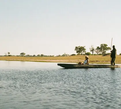 Wind your way through the Okavango Delta.