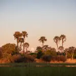 Moonrise over the delta.