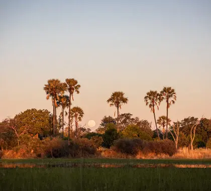 Moonrise over the delta.