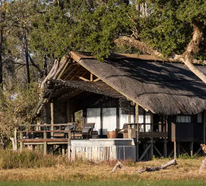 belmond-eagle-island-lodge-okavango-delta-botswana-tented-room-ext