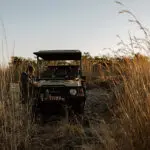 Stop for a stretch and a drink during your game drive.
