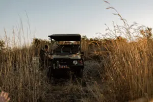 Stop for a stretch and a drink during your game drive.